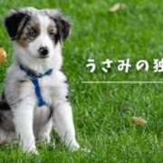 ヒメ日記 2025/04/26 00:28 投稿 宇佐美 西川口デッドボール