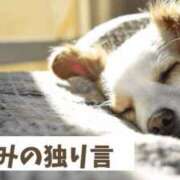 ヒメ日記 2025/05/08 20:05 投稿 宇佐美 西川口デッドボール