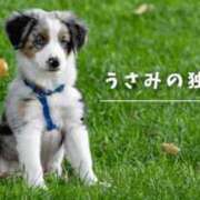 ヒメ日記 2025/05/17 07:58 投稿 宇佐美 西川口デッドボール