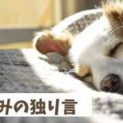 ヒメ日記 2025/05/26 12:08 投稿 宇佐美 西川口デッドボール