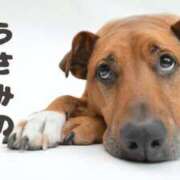 ヒメ日記 2025/05/27 15:58 投稿 宇佐美 西川口デッドボール