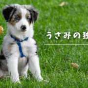 ヒメ日記 2025/05/31 00:19 投稿 宇佐美 西川口デッドボール