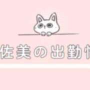 ヒメ日記 2025/06/08 08:38 投稿 宇佐美 西川口デッドボール