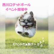 ヒメ日記 2025/06/14 12:58 投稿 宇佐美 西川口デッドボール