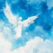 ヒメ日記 2026/01/13 19:58 投稿 宇佐美 西川口デッドボール