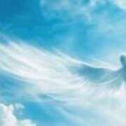 ヒメ日記 2026/01/29 20:11 投稿 宇佐美 西川口デッドボール