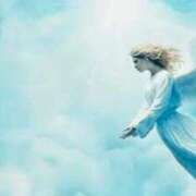 ヒメ日記 2026/01/30 15:08 投稿 宇佐美 西川口デッドボール