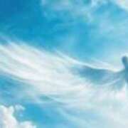 ヒメ日記 2026/02/13 12:21 投稿 宇佐美 西川口デッドボール