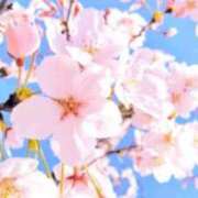 ヒメ日記 2026/04/02 12:08 投稿 宇佐美 西川口デッドボール