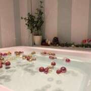 ヒメ日記 2025/03/29 11:47 投稿 RAMU【らむ】 ViVi-ヴィヴィ-(金津園)