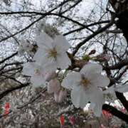 ヒメ日記 2026/03/24 20:27 投稿 美々(みみ) 上野人妻城