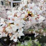 ヒメ日記 2026/03/30 12:30 投稿 美々(みみ) 上野人妻城