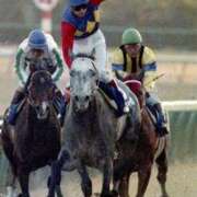 ヒメ日記 2025/12/16 10:03 投稿 ひなの 那須塩原人妻花壇