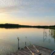 ヒメ日記 2025/12/20 18:03 投稿 ひなの 那須塩原人妻花壇