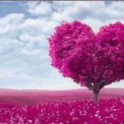 ヒメ日記 2024/12/13 19:46 投稿 清花(きよか) 高知デリヘル倶楽部 人妻熟女専門店