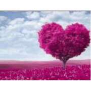 ヒメ日記 2025/11/09 13:26 投稿 清花(きよか) 高知デリヘル倶楽部 人妻熟女専門店