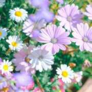 ヒメ日記 2025/05/05 12:16 投稿 ねね 桃色クリスタル