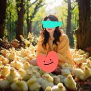 ヒメ日記 2025/04/05 12:22 投稿 クリス マスカレード