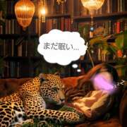 ヒメ日記 2025/07/12 10:18 投稿 クリス マスカレード