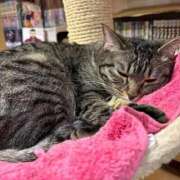 ヒメ日記 2025/09/26 03:01 投稿 きょうか 松戸角海老根本店