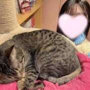 ヒメ日記 2025/10/08 02:41 投稿 きょうか 松戸角海老根本店