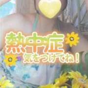 ヒメ日記 2025/08/18 12:13 投稿 柚葉 シャトーペトラ