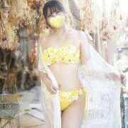 ヒメ日記 2025/09/23 08:32 投稿 柚葉 シャトーペトラ