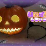 ヒメ日記 2025/10/30 07:41 投稿 柚葉 シャトーペトラ