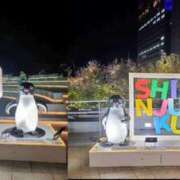 ヒメ日記 2025/11/15 11:29 投稿 柚葉 シャトーペトラ