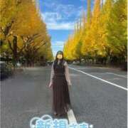 ヒメ日記 2025/11/17 08:05 投稿 柚葉 シャトーペトラ