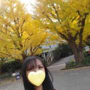 ヒメ日記 2025/11/18 08:00 投稿 柚葉 シャトーペトラ