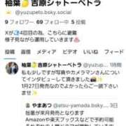 ヒメ日記 2025/12/28 11:57 投稿 柚葉 シャトーペトラ