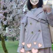 ヒメ日記 2026/03/29 22:52 投稿 柚葉 シャトーペトラ