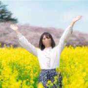 ヒメ日記 2026/03/31 04:29 投稿 柚葉 シャトーペトラ