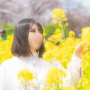 ヒメ日記 2026/04/08 07:56 投稿 柚葉 シャトーペトラ