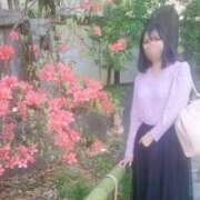 ヒメ日記 2026/04/12 19:45 投稿 柚葉 シャトーペトラ