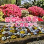 ヒメ日記 2026/04/15 08:42 投稿 柚葉 シャトーペトラ