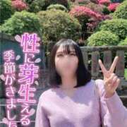 ヒメ日記 2026/04/16 10:38 投稿 柚葉 シャトーペトラ