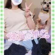 柚葉 犬カフェ🐕 シャトーペトラ