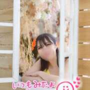 ヒメ日記 2026/08/25 09:10 投稿 柚葉 シャトーペトラ