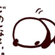 ヒメ日記 2025/04/17 09:14 投稿 くらら 電車でGOAL！