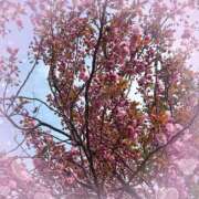 ヒメ日記 2025/05/12 15:44 投稿 くらら 電車でGOAL！