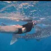 ヒメ日記 2025/01/18 13:09 投稿 はるか 激安ソープの殿堂　ボイン・ホーテ