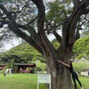 椎菜 🌸私はどこにいるでしょう？？ ルーブル