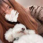 ヒメ日記 2025/04/21 08:30 投稿 れい One More奥様　八王子店