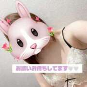 ヒメ日記 2025/12/03 12:34 投稿 ここあ 奥さまさくら京橋店