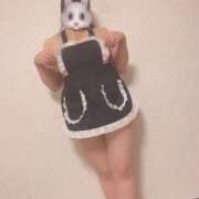 ヒメ日記 2025/04/29 20:26 投稿 ひな 埼玉熊谷ちゃんこ