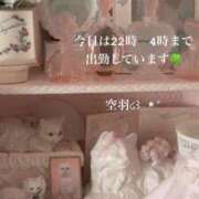 ヒメ日記 2024/10/31 22:10 投稿 空羽-KUU- luxury aroma 咲