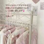 ヒメ日記 2024/11/14 18:25 投稿 空羽-KUU- luxury aroma 咲