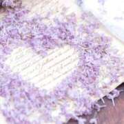 ヒメ日記 2025/06/17 01:50 投稿 ふわり 熟女＆人妻＆ぽっちゃり倶楽部